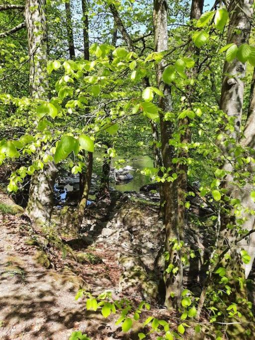 Chalet A L'Oree Du Bois Avec Parking Tournavaux Ngoại thất bức ảnh
